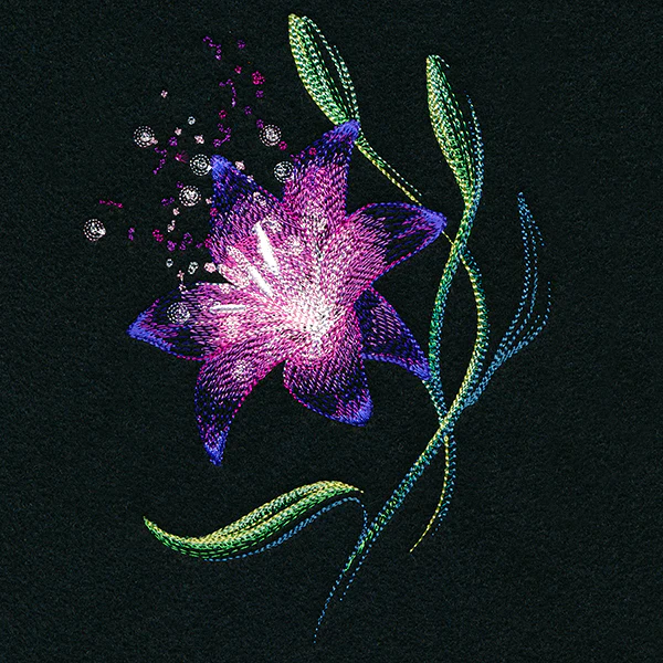 Lily of Wonder - Image 5