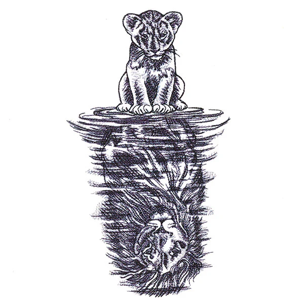 Lion Reflection - Image 5