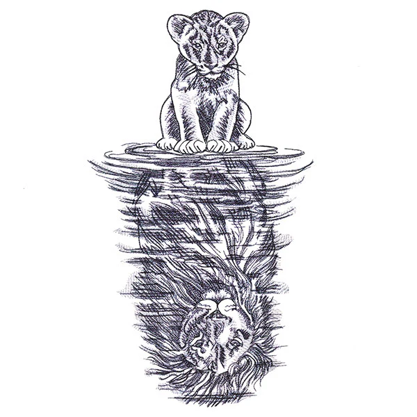 Lion Reflection - Image 9