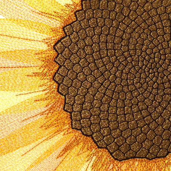 Macro Sunflower Square - Image 6