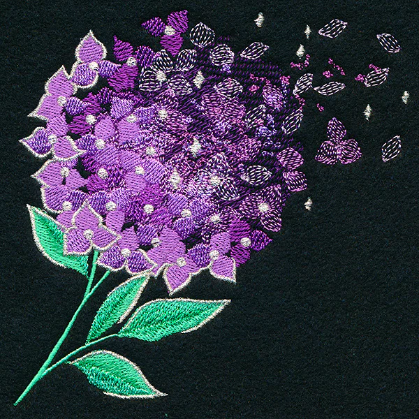 Make A Wish Hydrangea - Image 5