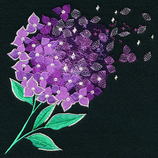 Make A Wish Hydrangea - Image 7