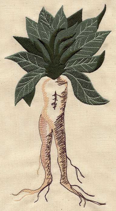Mandrake - Image 4