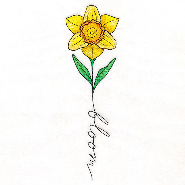 May Bloom Daffodil - Image 2
