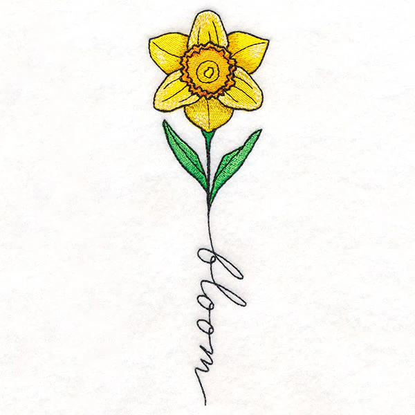 May Bloom Daffodil - Image 4