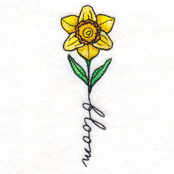 May Bloom Daffodil - Image 5