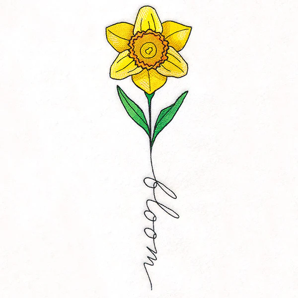 May Bloom Daffodil - Image 6