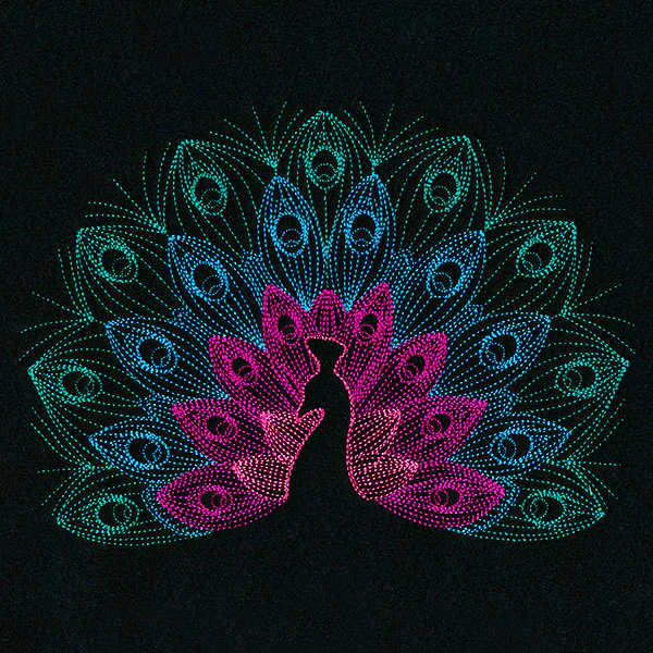 Mesmerizing Peacock - Image 3