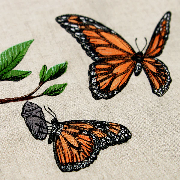 Metamorphosis Monarch - Image 6
