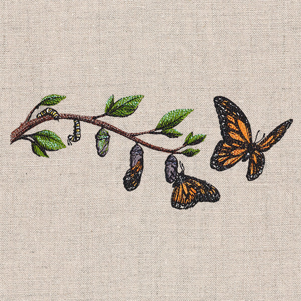 Metamorphosis Monarch - Image 7