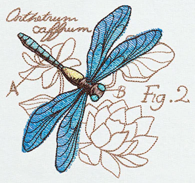 Miniature Menagerie Dragonfly Diagram - Image 2