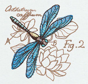 Miniature Menagerie Dragonfly Diagram - Image 3
