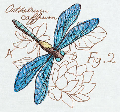 Miniature Menagerie Dragonfly Diagram - Image 4