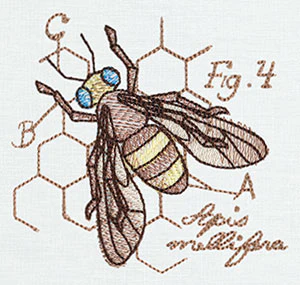 Miniature Menagerie Honeybee Diagram - Image 3
