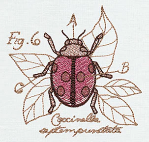 Miniature Menagerie Ladybug Diagram - Image 3