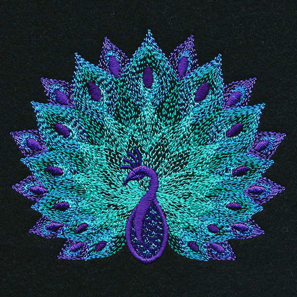 Mirage Peacock - Image 4