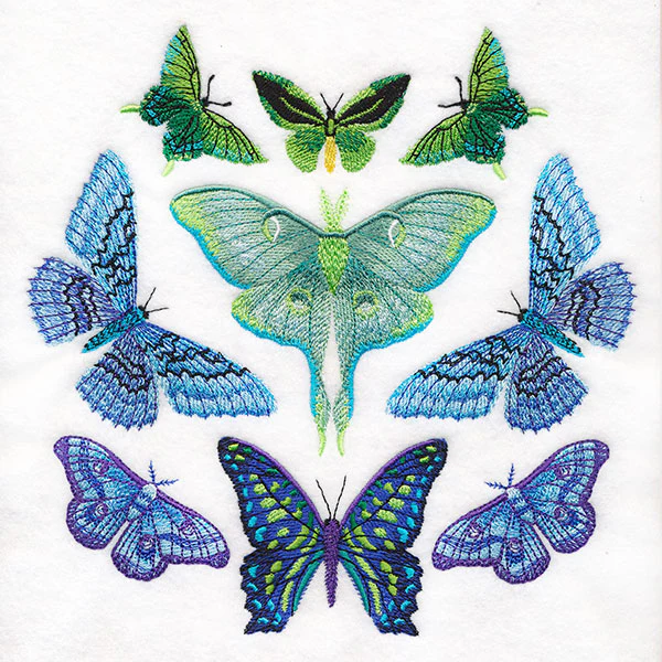 Moth Magic Eclipse