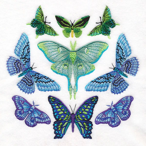 Moth Magic Eclipse - Image 3