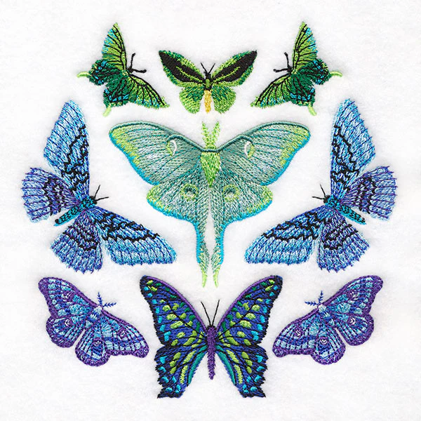 Moth Magic Eclipse - Image 5
