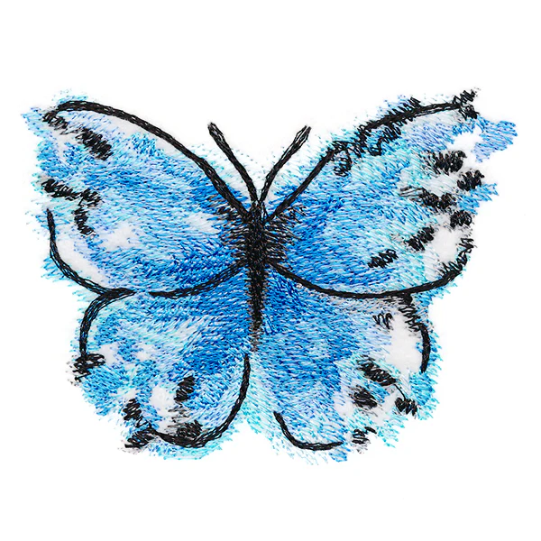 Nature's Palette Blue Morpho - Image 4