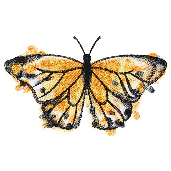 Nature's Palette Monarch - Image 2