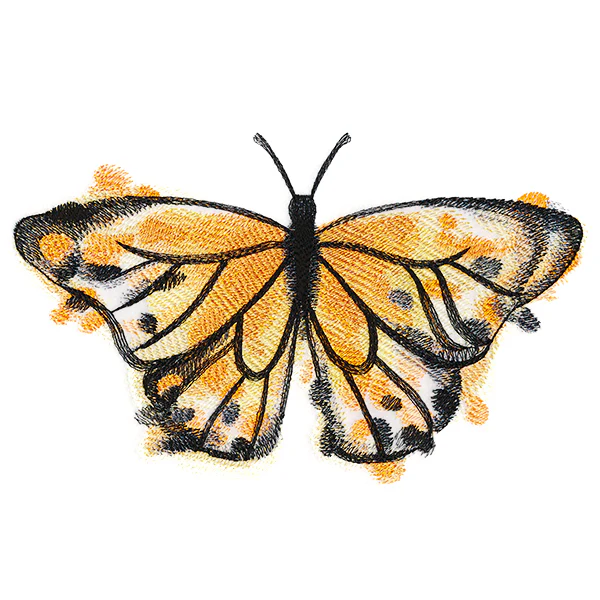 Nature's Palette Monarch - Image 3