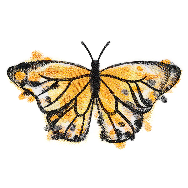 Nature's Palette Monarch - Image 4