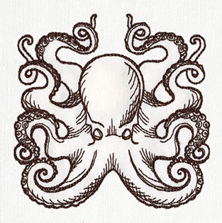 Nauticus - Octopus - Image 3