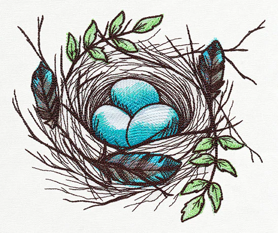 Nest - Eggs - Image 4