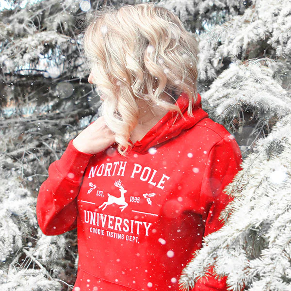 North Pole University - Image 4