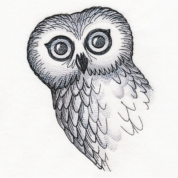 O Hai Owl - Image 2