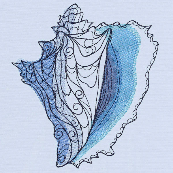 Ocean Blue - Conch Shell - Image 3