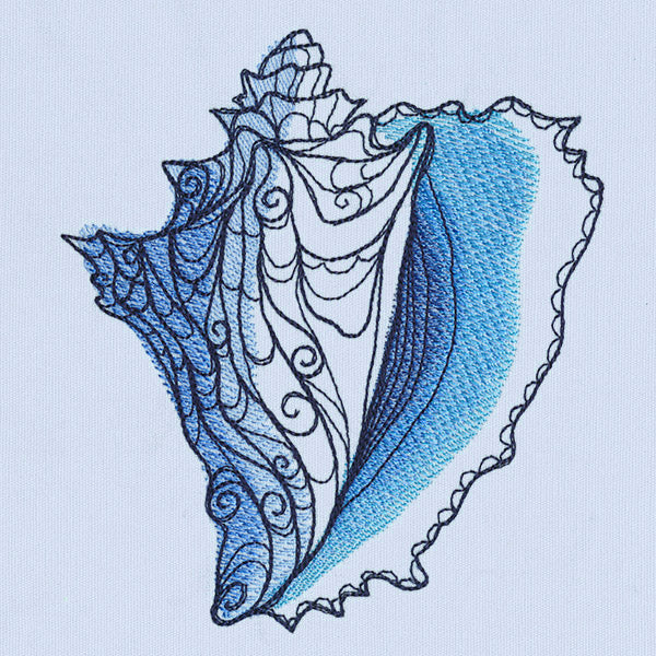 Ocean Blue - Conch Shell - Image 4