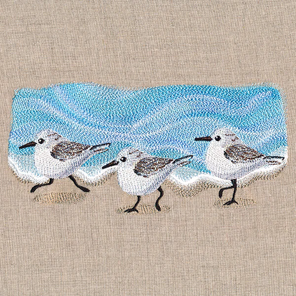 Oceanside Sandpiper Border - Image 3