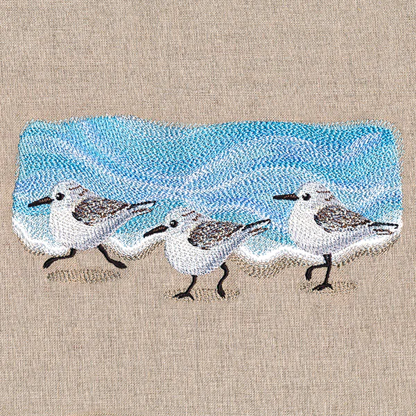 Oceanside Sandpiper Border - Image 5