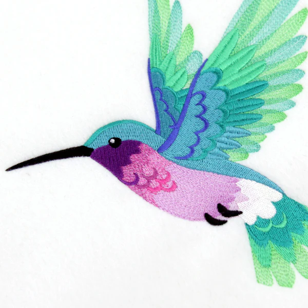 Ombre Hummingbird in Flight - Image 4