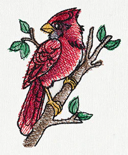 Painted Cardinal - Image 3