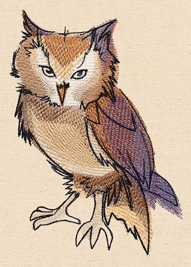 Painted Owl - Image 2