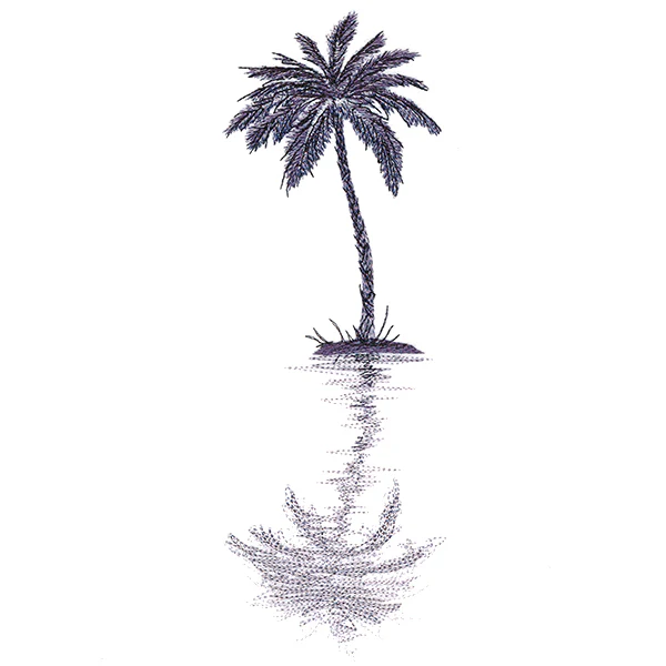 Palm Tree Reflection - Image 2