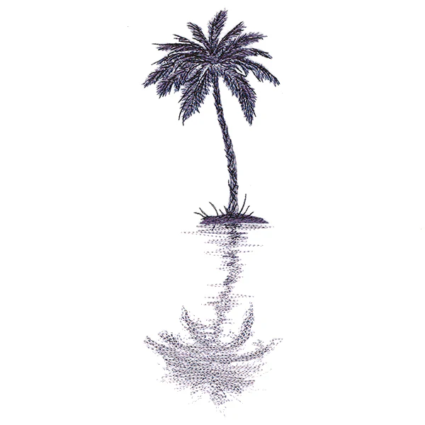 Palm Tree Reflection - Image 3
