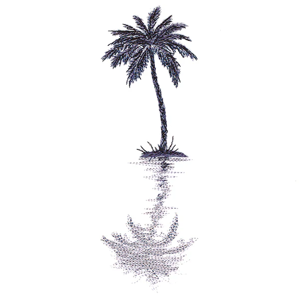 Palm Tree Reflection - Image 4