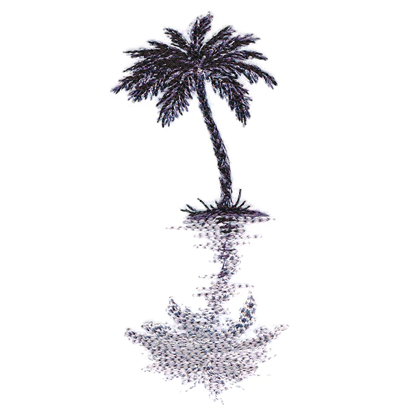 Palm Tree Reflection - Image 5