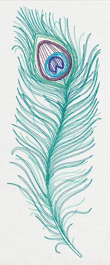 Peacock Quill - Image 5