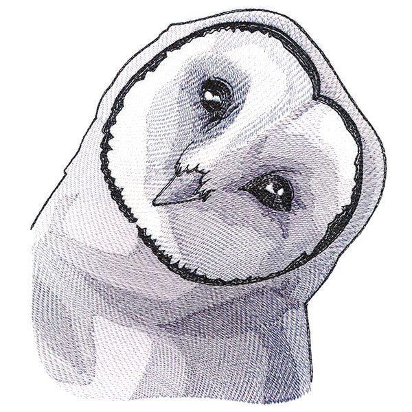 Peeking Barn Owl - Image 3