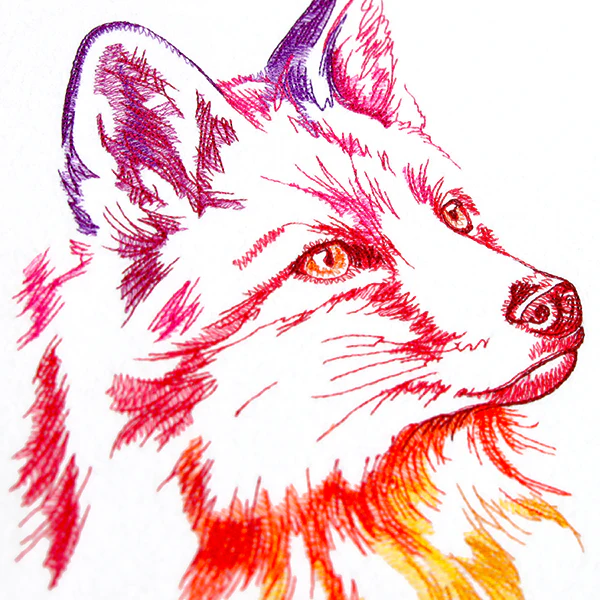 Rainbow Fox - Image 10