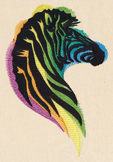 Rainbow Zebra - Image 2