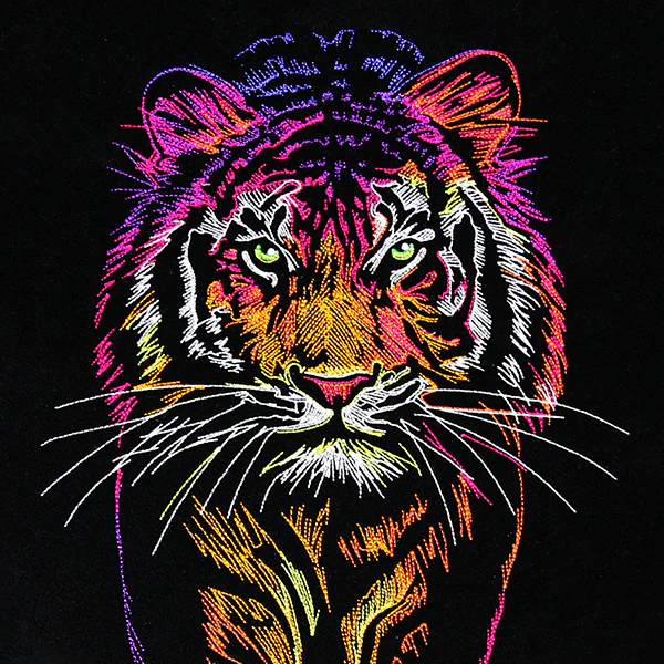 Rainbows & Mystery Tiger - Image 8