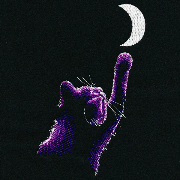 Reach for the Moon - Image 8
