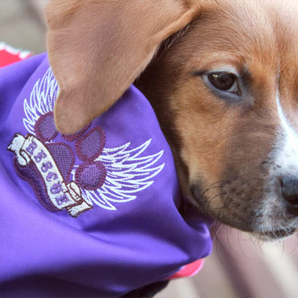 Rescue Paw - Image 13