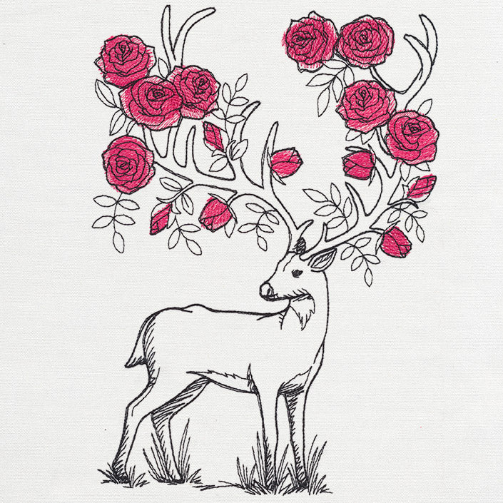 Rosie Antlers - Image 5